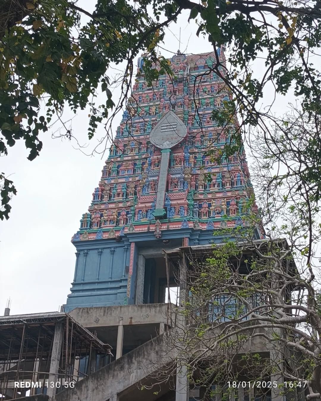 arunachala travels tirupati, 5